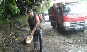 Babinsa Modayag Ajak Warga Bersihkan Pohon Tumbang