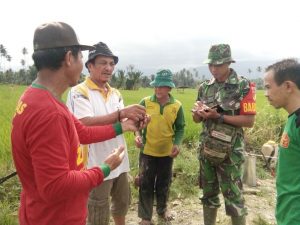 Babinsa Lolayan dan Distan Bolmong Beri Penyuluhan Pada Petani