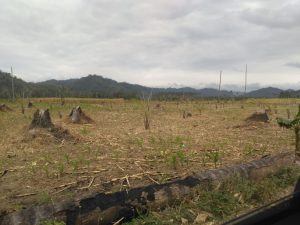 YLBHI-LBH Kritik Keberadaan Aparat di Perkebunan Sawit Bolmong