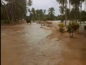 Banjir Desa Busisingo Bolmut, Warga Butuh Evakuasi