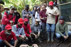 Bupati Bolsel Lepasliarkan Burung Maleo