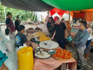Bupati Iskandar Melakukan Sidak Pasar Di Desa Momalia