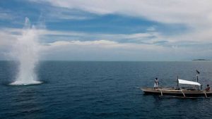 Kapolda Sulut Akan Telusuri dan Tindak Tegas Bom Ikan di Perairan Bolmut
