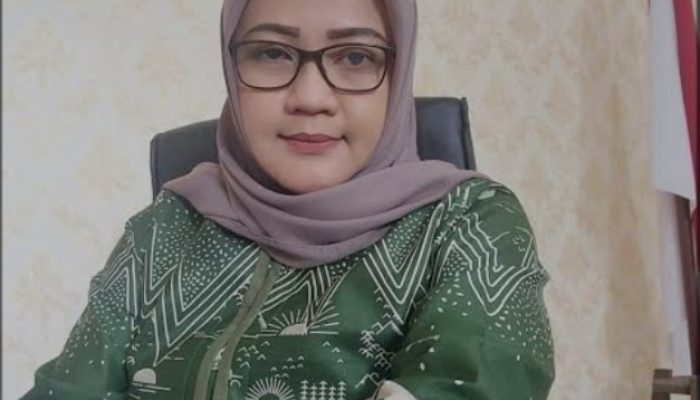 Yunita: Ada Empat Hal yang Perlu Diperhatikan Warga di Daftar Pemilih Sementara