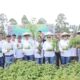Dukung Petani Nilam, Wali Kota Kotamobagu Kunjungi Perkebunan Monogid