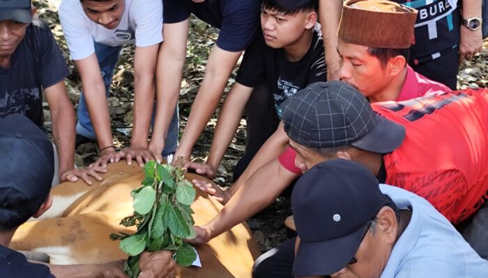 PT Xinfeng Gemah Semesta Siap Investasi Pertanian dan Tambang di BMR