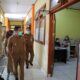 Wali Kota Kotamobagu Tinjau Pelayanan Kesehatan di Puskesmas Bilalang