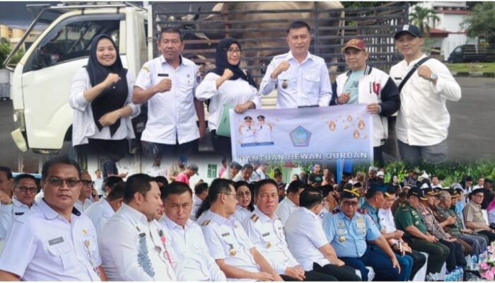 Boltim Dapat Satu Ekor Sapi dari Presiden Prabowo Subianto