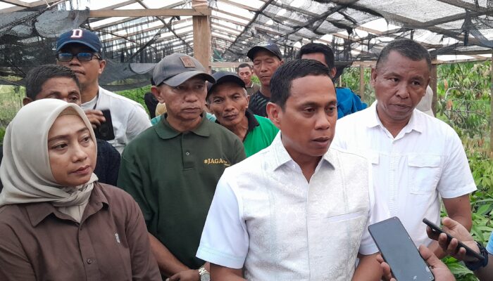 dr. Weny Gaib Jadi Wali Kota Pertama Tinjau Perkebunan Warga Poyowa Besar Dua