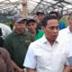 dr. Weny Gaib Jadi Wali Kota Pertama Tinjau Perkebunan Warga Poyowa Besar Dua