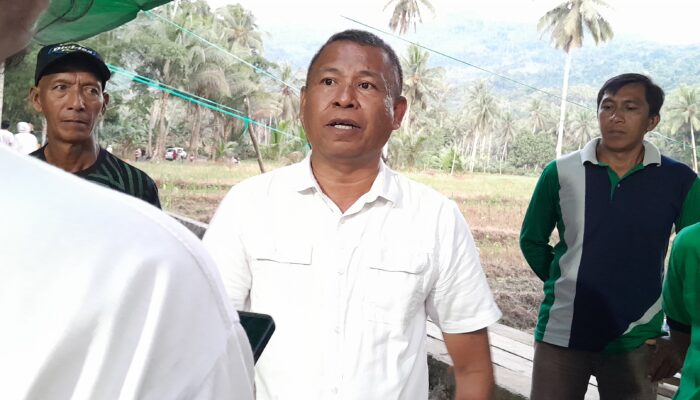 Sangadi Poyowa Besar Dua Sukanto Domu: Petani yang Jual Bibit Bantuan Harus Ganti Rugi Dua Kali Lipat