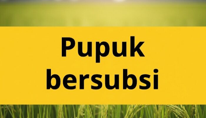Dinas Pertanian Kotamobagu Verifikasi Data Petani untuk Penyaluran Pupuk Bersubsidi
