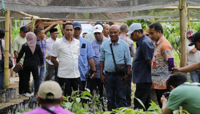 Kotamobagu Jadi Tuan Rumah Studi Tiru Perkebunan Kakao oleh Pemkab Halmahera Timur