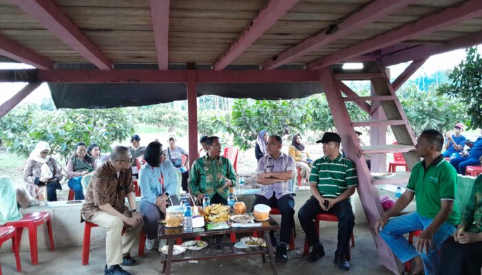 Wali Kota dr Weny Gaib Dorong Petani Kakao Beralih ke Produksi Organik, Bidik Pasar Jepang