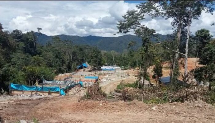 Tambang Ilegal Lukosina Jadi Penyebab Desa Dumagin Sering Banjir