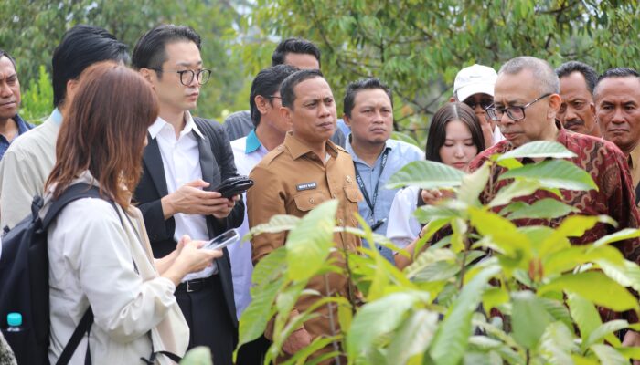 Buka Peluang Kerja Sama Pertanian Kakao, Wali Kota Kotamobagu Terima Kunjungan Investor dari Jepang