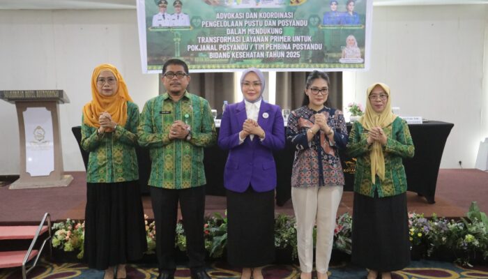 Ketua Tim Pembina Posyandu Tekankan Pentingnya Pustu dan Posyandu