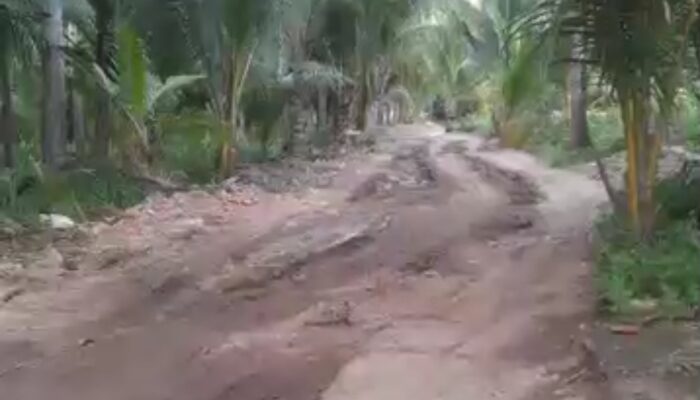 Jalan Rusak Menuju Pantai Batu Buaya Dikeluhkan Warga